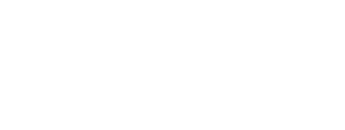 Hotel / Resort Business